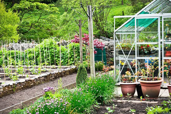 tips to set up a vegetable garden