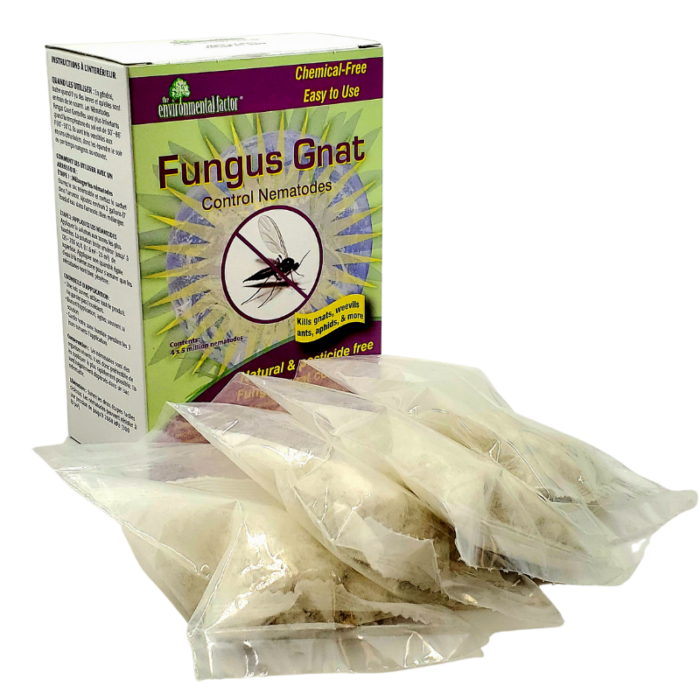 Fungus Gnat Control Nematodes 4 x 5 million PK