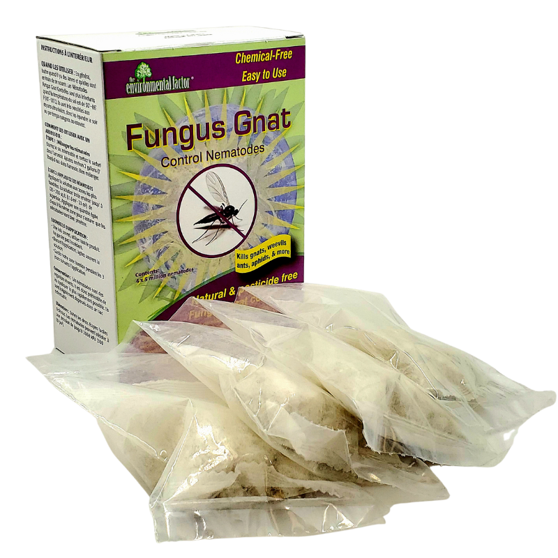 nemaplusÂ® for Fungus Gnat & Thrips Control