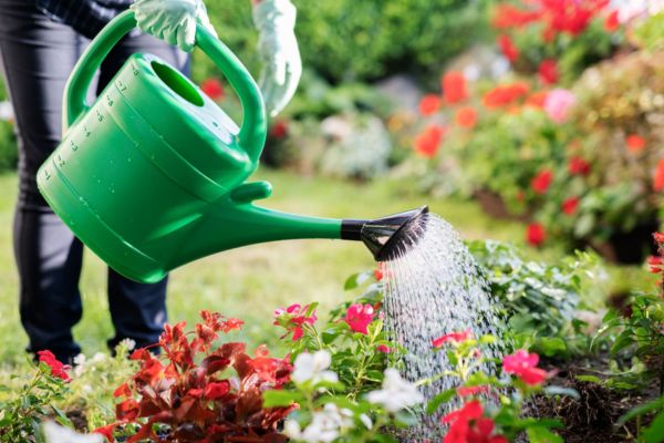 Nematodes to the rescue: garden pest control
